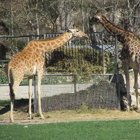 Кемпинг Mobilhome L Ideal *